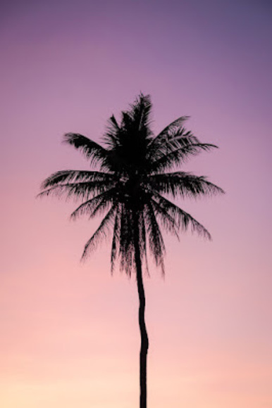 Meet your Posher, Benjamin - Picture 1 of 1